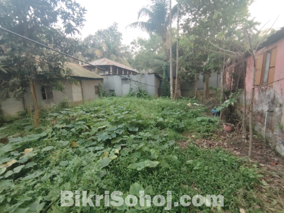 ৫ কাঠার উপর হাফ বিল্ডিং বাড়ি সহ জমি বিক্রয় করা হবে।